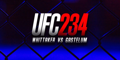 UFC 234 Image