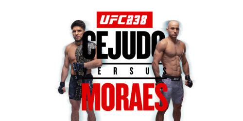UFC 238 Image