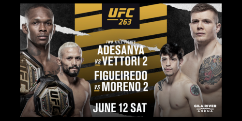 UFC 263 Image